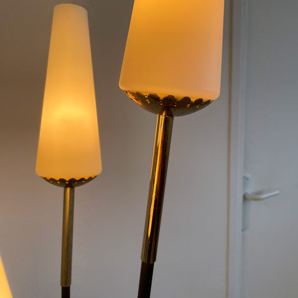 Lampadaire à tiges et opalines